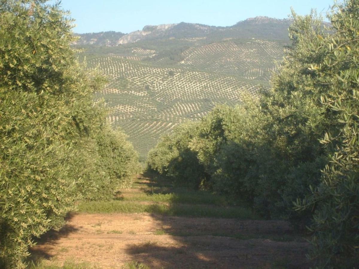 Cortijo El Derramadero Villa Villacarrillo Kültér fotó