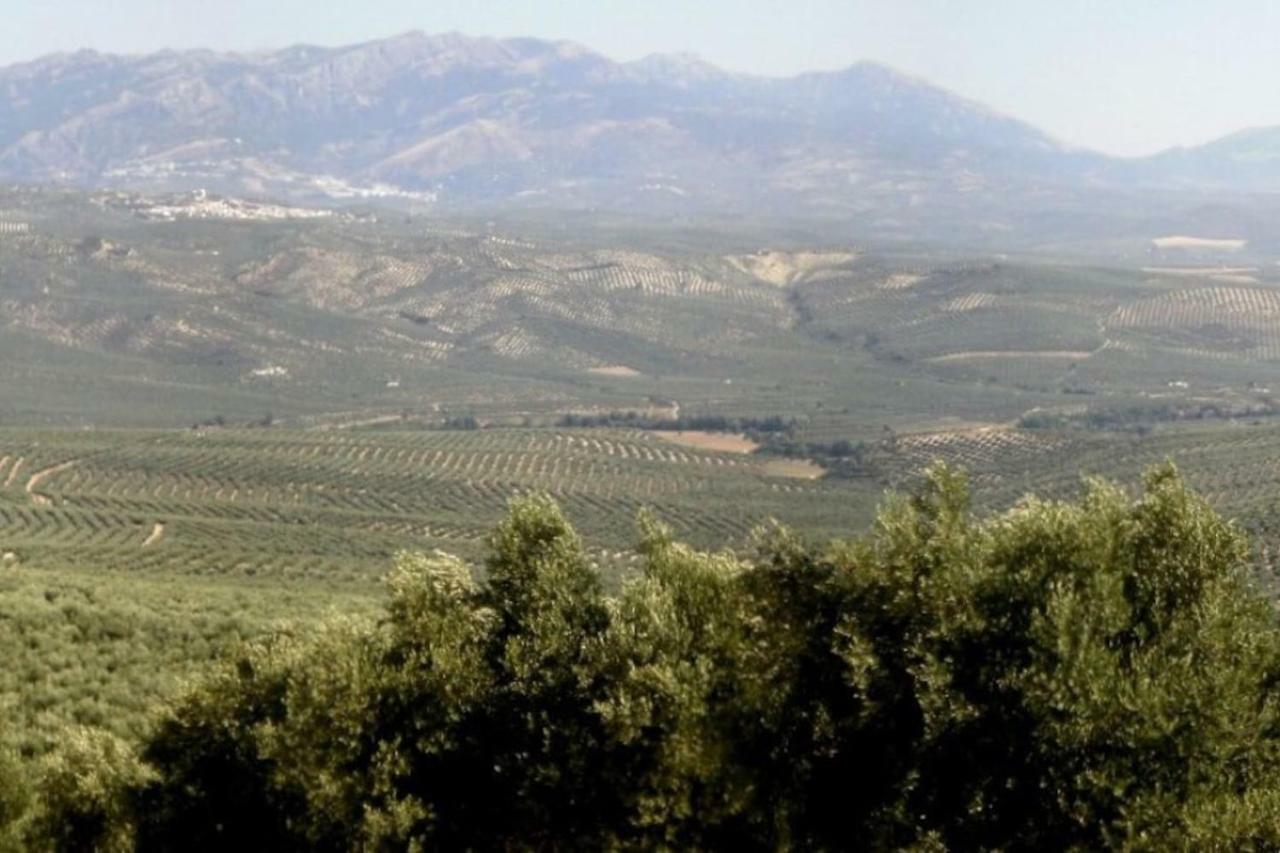 Cortijo El Derramadero Villa Villacarrillo Kültér fotó